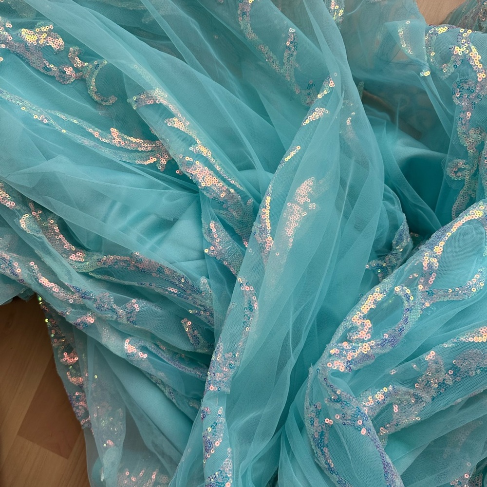 Prom Dress - Picture 8 of 9